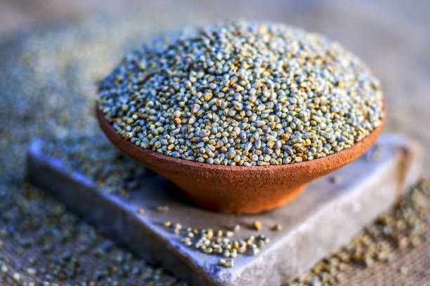 Bajra